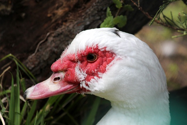 或人身攻击 或人身攻击